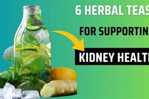 Best Herbal Tea for Kidneys? + Benefits & Side Effects The Ultimate Herbal Remedies Guide: Natural Healing for a Healthier Life Best Herbal Tea for Kidneys? + Benefits & Side Effects | The Ultimate Herbal Remedies Guide: Natural Healing for a Healthier Life