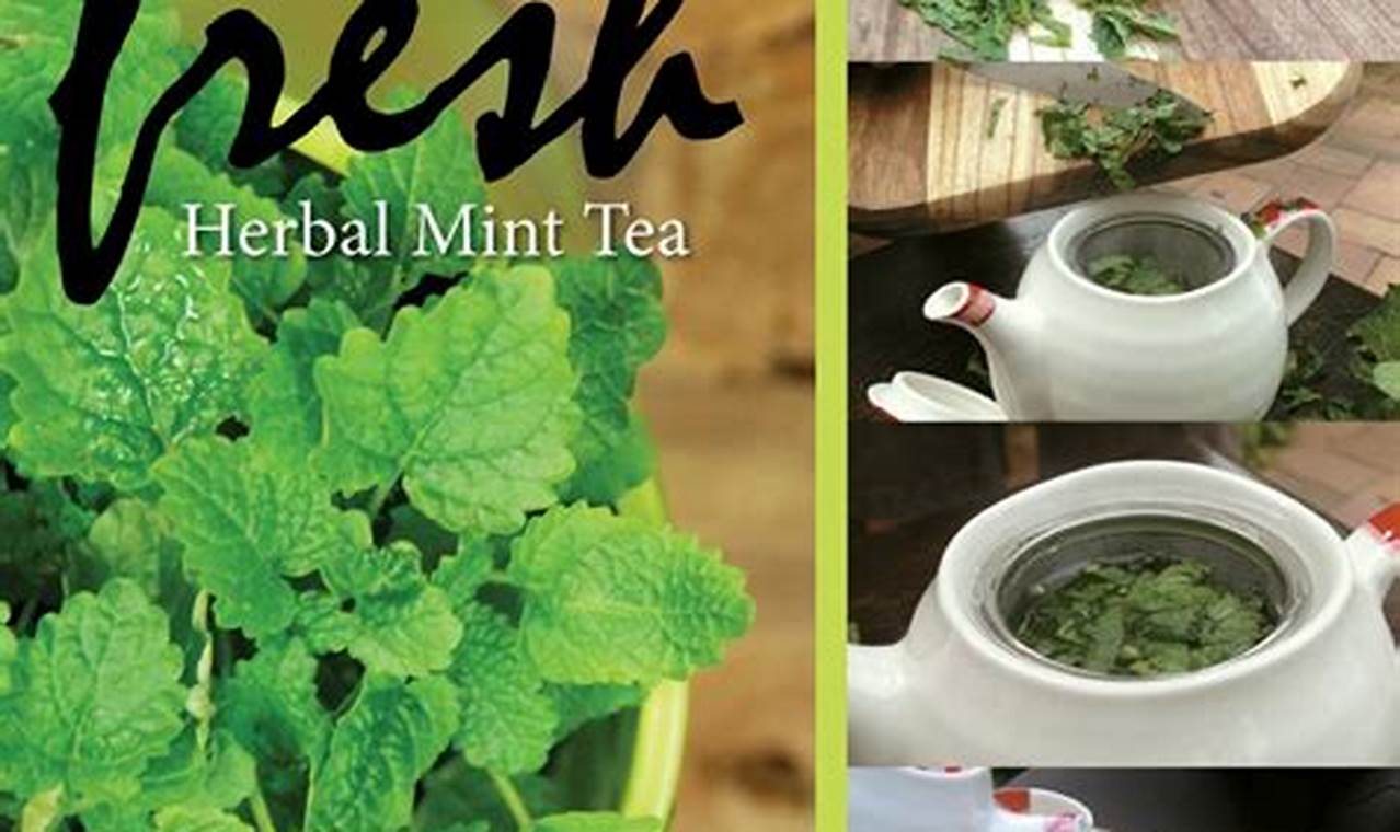 Easy Herbal Mint Tea Recipe: Brew Your Best Cup! The Ultimate Herbal Remedies Guide: Natural Healing for a Healthier Life Easy Herbal Mint Tea Recipe: Brew Your Best Cup! | The Ultimate Herbal Remedies Guide: Natural Healing for a Healthier Life