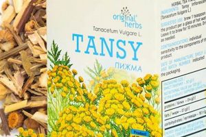 Is Tansy Herbal Tea Safe? Risks &amp; Benefits Explored | The Ultimate Herbal Remedies Guide: Natural Healing for a Healthier Life
