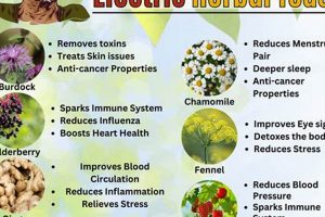 Best Dr Sebi Herbal Tea: Benefits &amp; Recipes | The Ultimate Herbal Remedies Guide: Natural Healing for a Healthier Life