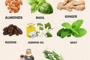 Natural Herbal Remedy for Migraine Relief Today | The Ultimate Herbal Remedies Guide: Natural Healing for a Healthier Life