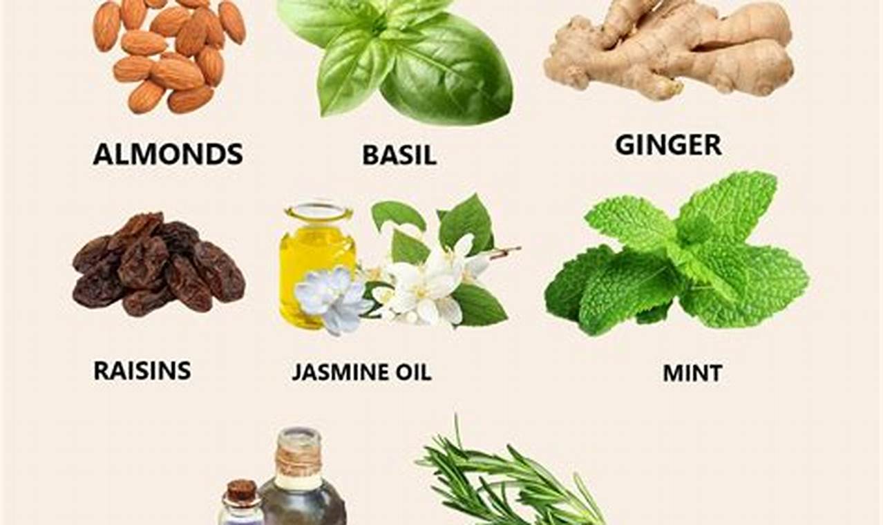 Natural Herbal Remedy for Migraine Relief Today | The Ultimate Herbal Remedies Guide: Natural Healing for a Healthier Life