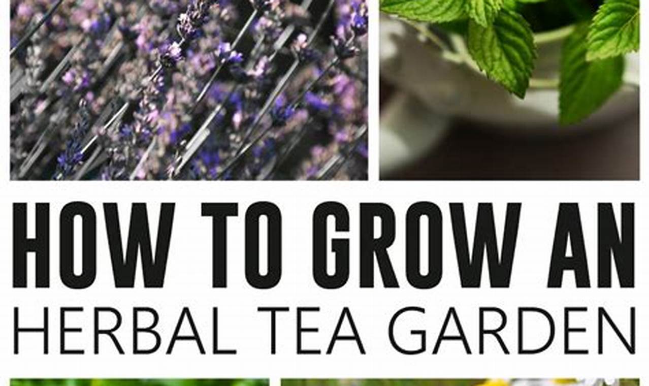 Grow Your Herbal Tea Garden Oasis: Tips & Plants | The Ultimate Herbal Remedies Guide: Natural Healing for a Healthier Life