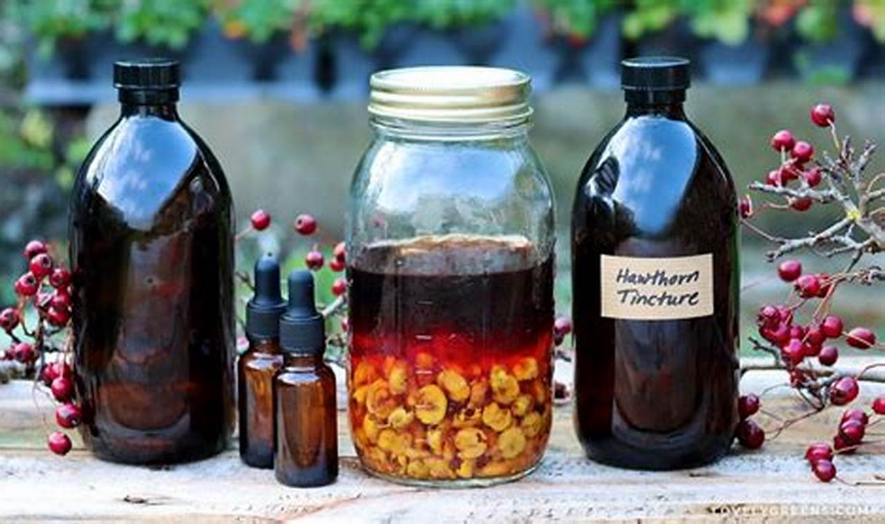 Unlock Nature's Power: Herbal Tincture Benefits + Uses The Ultimate Herbal Remedies Guide: Natural Healing for a Healthier Life Unlock Nature's Power: Herbal Tincture Benefits + Uses | The Ultimate Herbal Remedies Guide: Natural Healing for a Healthier Life