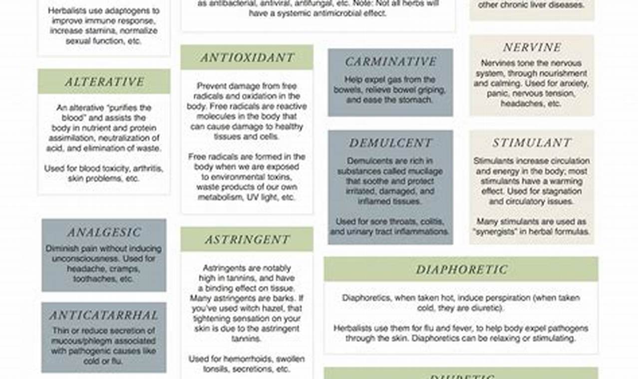 Understanding Herbal Actions: Benefits & Uses The Ultimate Herbal Remedies Guide: Natural Healing for a Healthier Life Understanding Herbal Actions: Benefits & Uses | The Ultimate Herbal Remedies Guide: Natural Healing for a Healthier Life