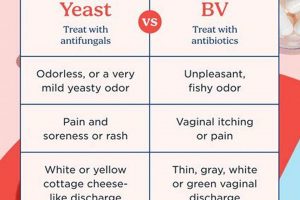 Natural BV Herbal Treatment: Relief & Remedies The Ultimate Herbal Remedies Guide: Natural Healing for a Healthier Life Natural BV Herbal Treatment: Relief & Remedies | The Ultimate Herbal Remedies Guide: Natural Healing for a Healthier Life