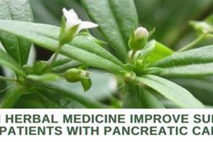 Natural Herbal Remedies for Pancreatic Cancer Relief The Ultimate Herbal Remedies Guide: Natural Healing for a Healthier Life Natural Herbal Remedies for Pancreatic Cancer Relief | The Ultimate Herbal Remedies Guide: Natural Healing for a Healthier Life