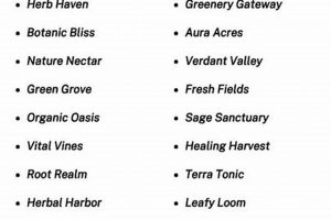 Natural Herbal Company: Remedies & Supplements The Ultimate Herbal Remedies Guide: Natural Healing for a Healthier Life Natural Herbal Company: Remedies & Supplements | The Ultimate Herbal Remedies Guide: Natural Healing for a Healthier Life