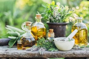 Unlocking Herbalism Meaning: A Natural Guide The Ultimate Herbal Remedies Guide: Natural Healing for a Healthier Life Unlocking Herbalism Meaning: A Natural Guide | The Ultimate Herbal Remedies Guide: Natural Healing for a Healthier Life