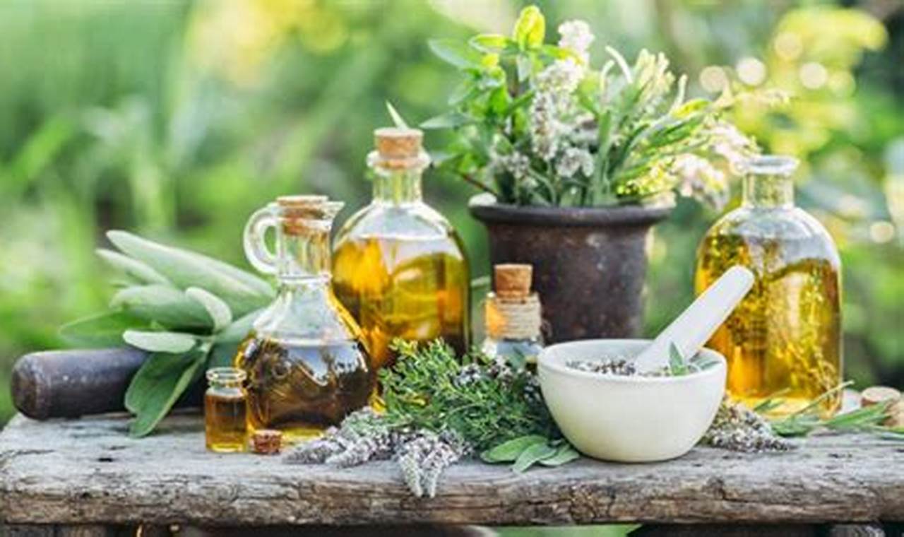 Unlocking Herbalism Meaning: A Natural Guide The Ultimate Herbal Remedies Guide: Natural Healing for a Healthier Life Unlocking Herbalism Meaning: A Natural Guide | The Ultimate Herbal Remedies Guide: Natural Healing for a Healthier Life