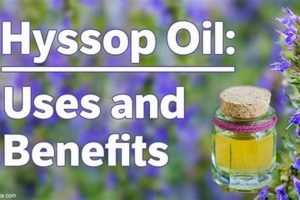 Unlock Hyssop Herbal Uses: Benefits &amp; Remedies | The Ultimate Herbal Remedies Guide: Natural Healing for a Healthier Life