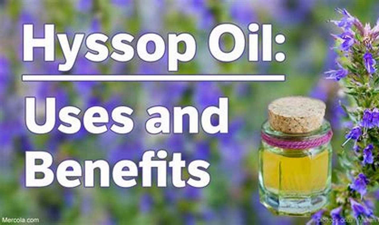 Unlock Hyssop Herbal Uses: Benefits &amp; Remedies | The Ultimate Herbal Remedies Guide: Natural Healing for a Healthier Life