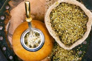 Guide: Yerba Mate Herbal Tea Benefits & Brew Tips | The Ultimate Herbal Remedies Guide: Natural Healing for a Healthier Life