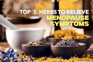 Natural Menopause Herbal Treatment: Relief + Remedies The Ultimate Herbal Remedies Guide: Natural Healing for a Healthier Life Natural Menopause Herbal Treatment: Relief + Remedies | The Ultimate Herbal Remedies Guide: Natural Healing for a Healthier Life