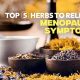 Natural Menopause Herbal Treatment: Relief + Remedies | The Ultimate Herbal Remedies Guide: Natural Healing for a Healthier Life
