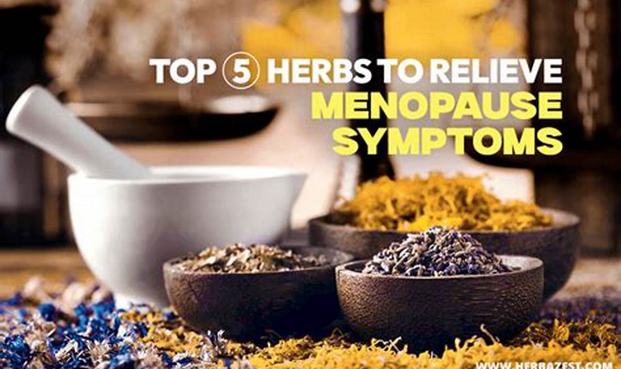 Natural Menopause Herbal Treatment: Relief + Remedies The Ultimate Herbal Remedies Guide: Natural Healing for a Healthier Life Natural Menopause Herbal Treatment: Relief + Remedies | The Ultimate Herbal Remedies Guide: Natural Healing for a Healthier Life