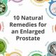 Natural Prostate Herbal Remedies: Benefits & Risks | The Ultimate Herbal Remedies Guide: Natural Healing for a Healthier Life