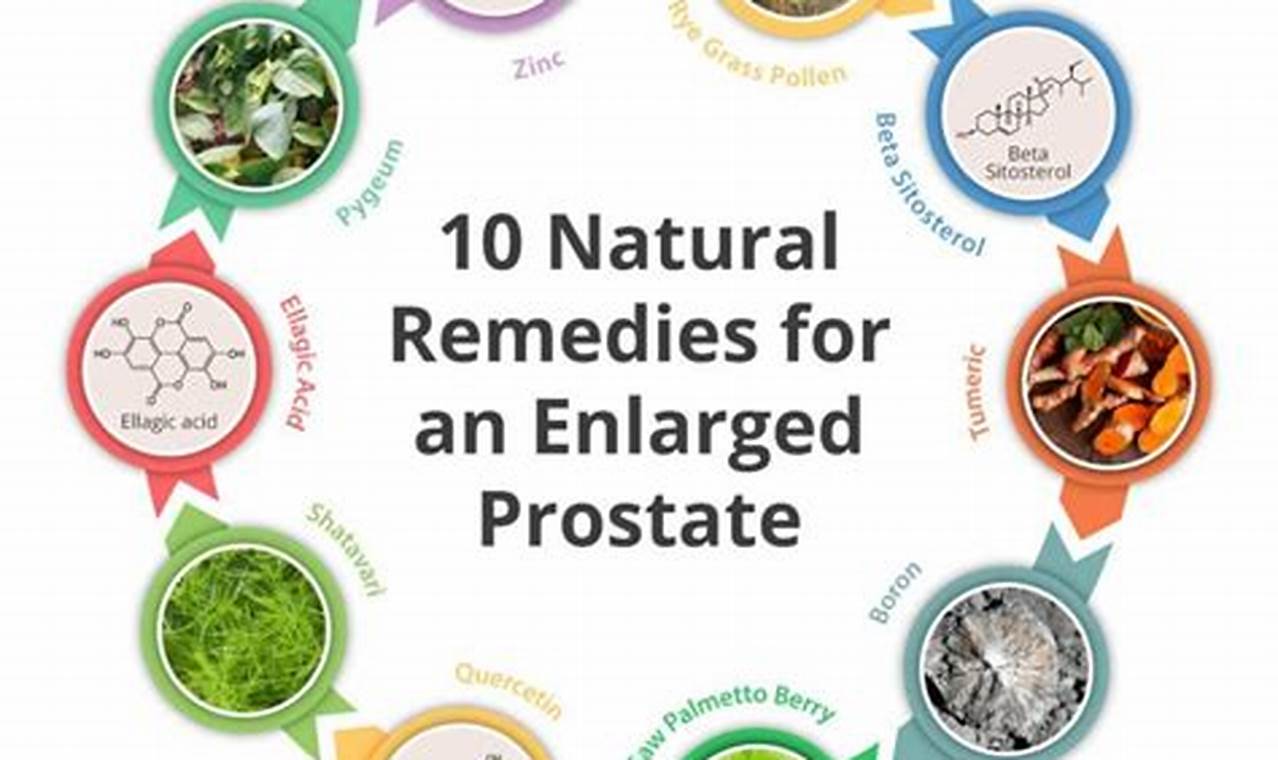 Natural Prostate Herbal Remedies: Benefits & Risks The Ultimate Herbal Remedies Guide: Natural Healing for a Healthier Life Natural Prostate Herbal Remedies: Benefits & Risks | The Ultimate Herbal Remedies Guide: Natural Healing for a Healthier Life