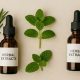 Top-Rated Herbal Suppliers: Your Quality Source | The Ultimate Herbal Remedies Guide: Natural Healing for a Healthier Life