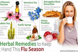 Natural Flu Herbal Remedies: Relief + Prevention The Ultimate Herbal Remedies Guide: Natural Healing for a Healthier Life Natural Flu Herbal Remedies: Relief + Prevention | The Ultimate Herbal Remedies Guide: Natural Healing for a Healthier Life