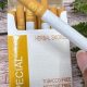 Herbal Tobacco Free Cigarettes: Benefits &amp; Risks | The Ultimate Herbal Remedies Guide: Natural Healing for a Healthier Life