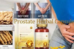 Natural North Moon Prostate Herbal Capsules: Support & Health The Ultimate Herbal Remedies Guide: Natural Healing for a Healthier Life Natural North Moon Prostate Herbal Capsules: Support & Health | The Ultimate Herbal Remedies Guide: Natural Healing for a Healthier Life