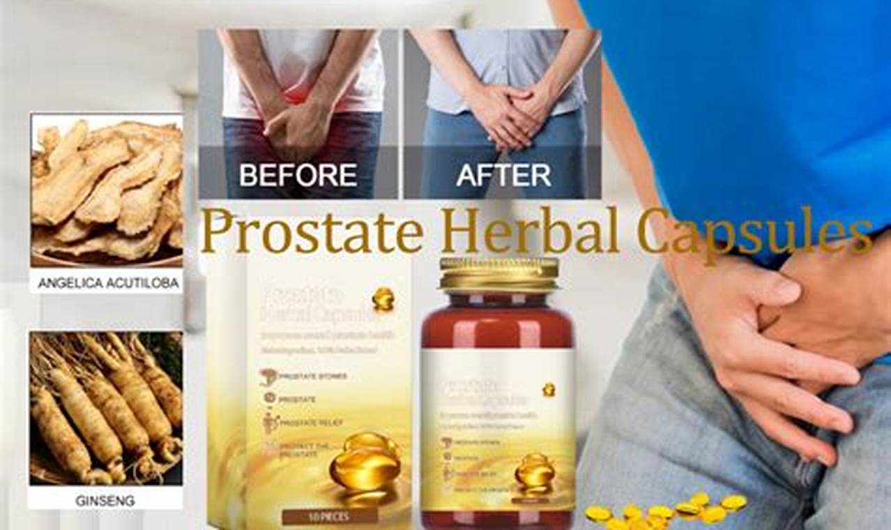 Natural North Moon Prostate Herbal Capsules: Support & Health | The Ultimate Herbal Remedies Guide: Natural Healing for a Healthier Life