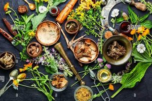 Nature's Herbal Remedies for You: Uses & Benefits The Ultimate Herbal Remedies Guide: Natural Healing for a Healthier Life Nature's Herbal Remedies for You: Uses & Benefits | The Ultimate Herbal Remedies Guide: Natural Healing for a Healthier Life