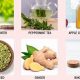 Best Herbal Remedies for Indigestion: Relief Now! | The Ultimate Herbal Remedies Guide: Natural Healing for a Healthier Life