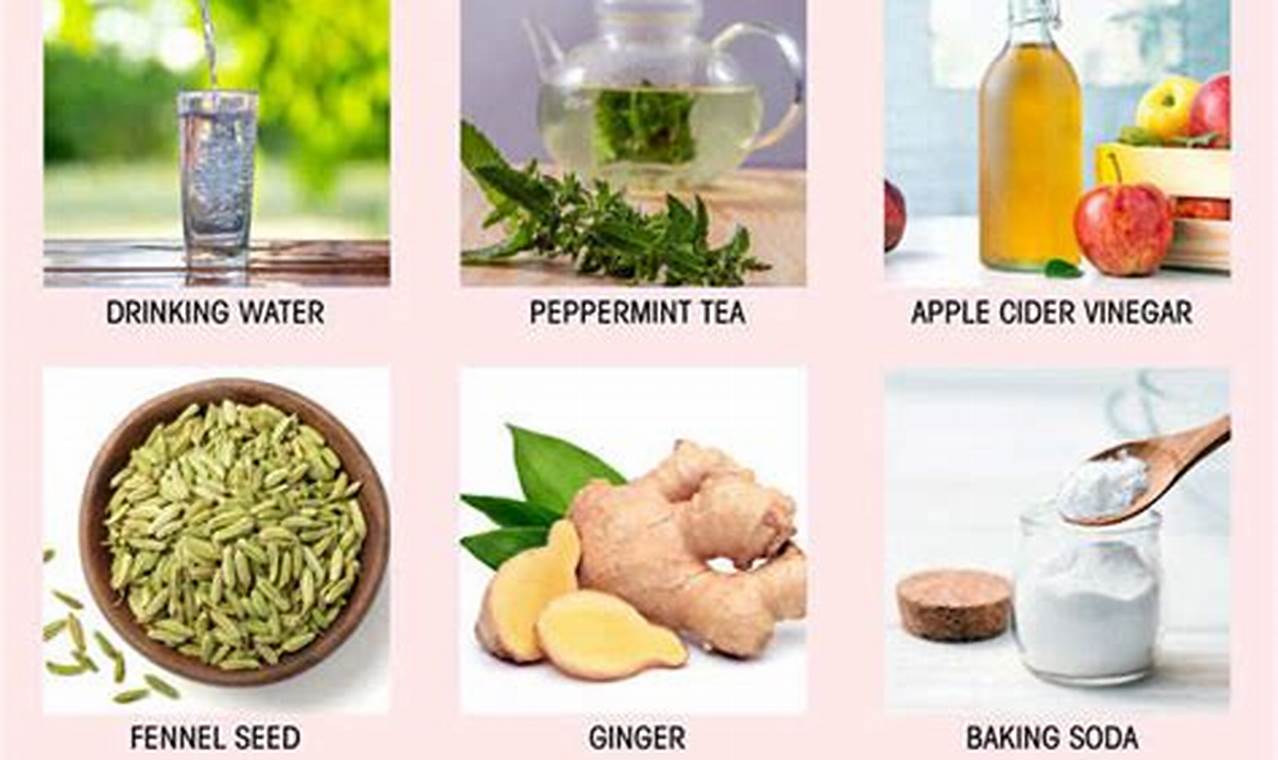Best Herbal Remedies for Indigestion: Relief Now! | The Ultimate Herbal Remedies Guide: Natural Healing for a Healthier Life