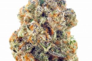 Guide: Herbal Healers THCA &amp; Its Benefits [Expert Tips] | The Ultimate Herbal Remedies Guide: Natural Healing for a Healthier Life