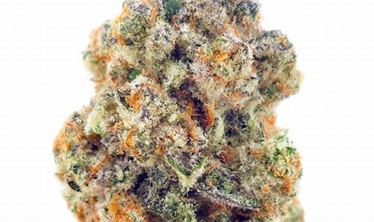 Guide: Herbal Healers THCA &amp; Its Benefits [Expert Tips] | The Ultimate Herbal Remedies Guide: Natural Healing for a Healthier Life