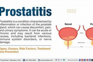 Natural Herbal Treatment for Prostate Infection Relief The Ultimate Herbal Remedies Guide: Natural Healing for a Healthier Life Natural Herbal Treatment for Prostate Infection Relief | The Ultimate Herbal Remedies Guide: Natural Healing for a Healthier Life