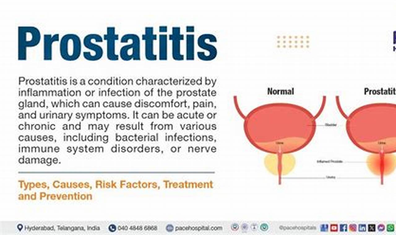 Natural Herbal Treatment for Prostate Infection Relief The Ultimate Herbal Remedies Guide: Natural Healing for a Healthier Life Natural Herbal Treatment for Prostate Infection Relief | The Ultimate Herbal Remedies Guide: Natural Healing for a Healthier Life