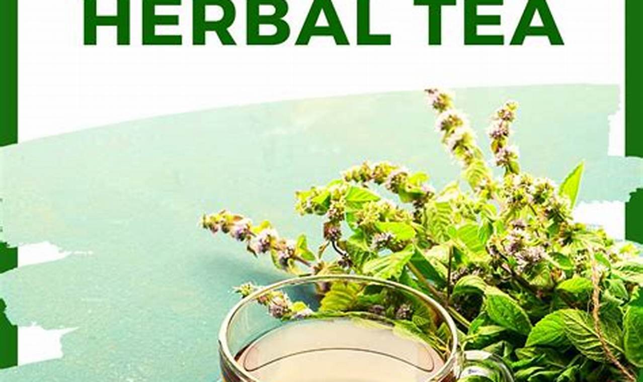 Caffeine in Herbal Tea: What You Need to Know The Ultimate Herbal Remedies Guide: Natural Healing for a Healthier Life Caffeine in Herbal Tea: What You Need to Know | The Ultimate Herbal Remedies Guide: Natural Healing for a Healthier Life