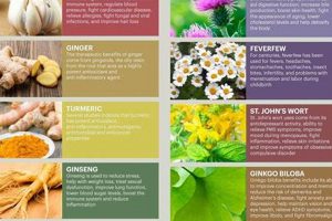 Natural Herbal Supplements for Edema Relief Now! | The Ultimate Herbal Remedies Guide: Natural Healing for a Healthier Life