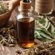 Top 5 Best Herbal Tinctures: Your Guide + Uses | The Ultimate Herbal Remedies Guide: Natural Healing for a Healthier Life