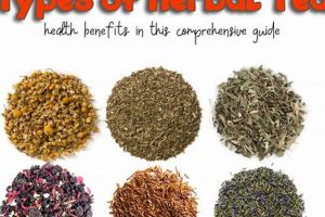 Discover Herbal Tea Varieties: Benefits &amp; More | The Ultimate Herbal Remedies Guide: Natural Healing for a Healthier Life