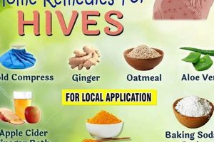 Natural Hives Herbal Remedies: Soothe The Itch Today! | The Ultimate Herbal Remedies Guide: Natural Healing for a Healthier Life