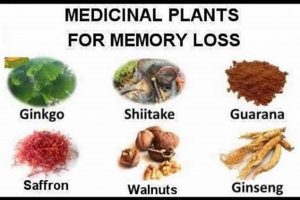 Boost Memory: Herbal Treatment for Memory Loss & Clarity | The Ultimate Herbal Remedies Guide: Natural Healing for a Healthier Life