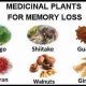 Boost Memory: Herbal Treatment for Memory Loss & Clarity | The Ultimate Herbal Remedies Guide: Natural Healing for a Healthier Life