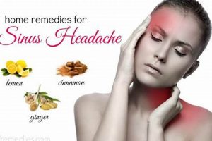 Quick Herbal Remedies for Sinus Headache Relief Today | The Ultimate Herbal Remedies Guide: Natural Healing for a Healthier Life