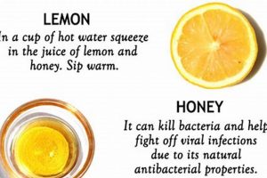 Quick Sore Throat Herbal Remedies: Natural Relief Now! | The Ultimate Herbal Remedies Guide: Natural Healing for a Healthier Life