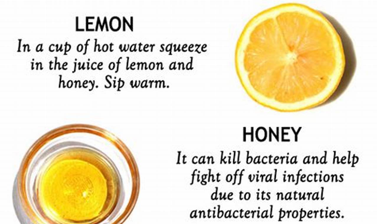 Quick Sore Throat Herbal Remedies: Natural Relief Now! | The Ultimate Herbal Remedies Guide: Natural Healing for a Healthier Life