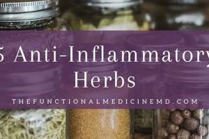 Top Herbal Anti Inflammatories: Natural Relief Tips | The Ultimate Herbal Remedies Guide: Natural Healing for a Healthier Life
