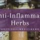 Top Herbal Anti Inflammatories: Natural Relief Tips | The Ultimate Herbal Remedies Guide: Natural Healing for a Healthier Life