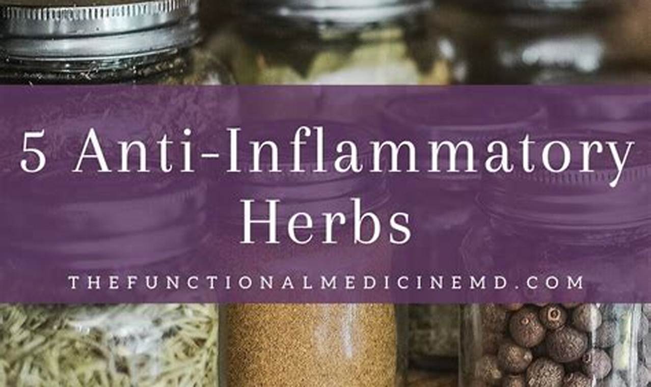 Top Herbal Anti Inflammatories: Natural Relief Tips | The Ultimate Herbal Remedies Guide: Natural Healing for a Healthier Life