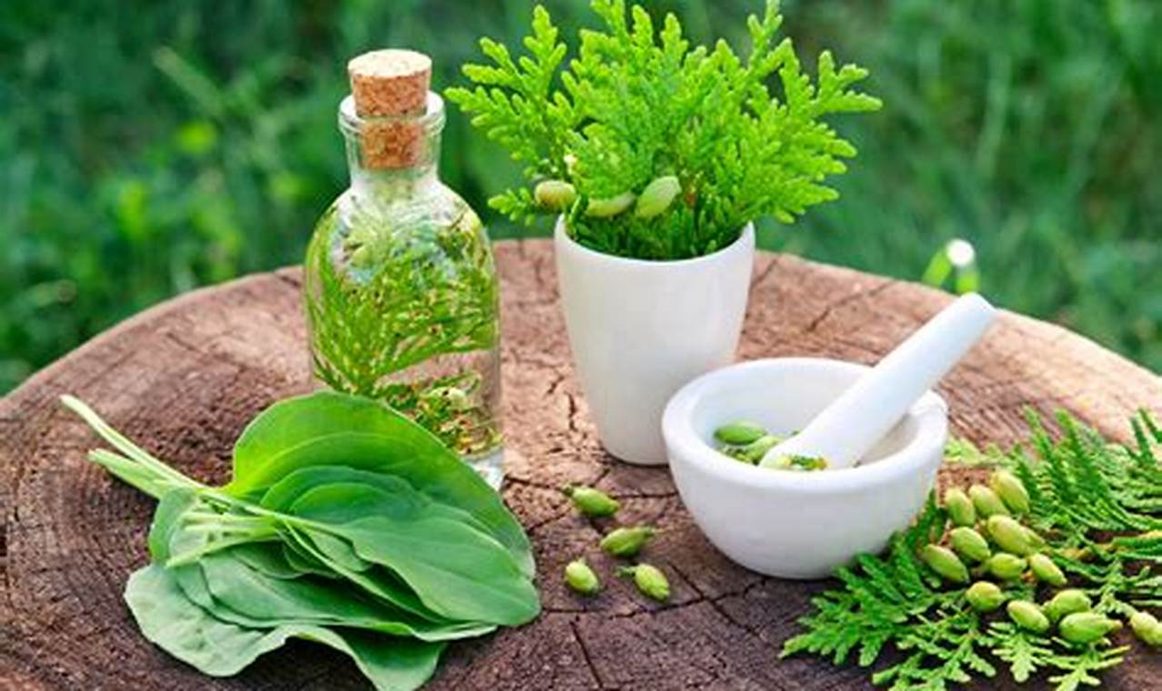 Natural Herbal Meds: Benefits & Risks Explored | The Ultimate Herbal Remedies Guide: Natural Healing for a Healthier Life