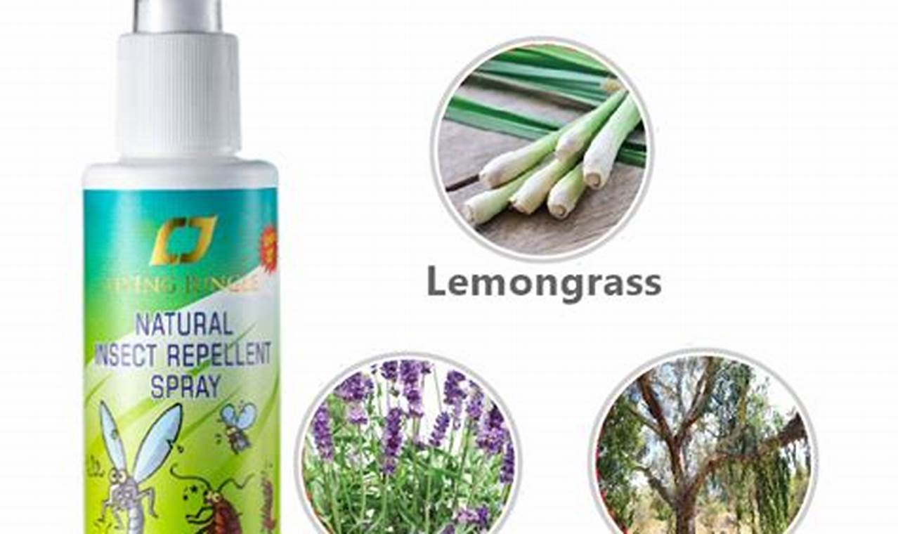 Natural Shield: Herbal Insect Repellent & Beyond | The Ultimate Herbal Remedies Guide: Natural Healing for a Healthier Life