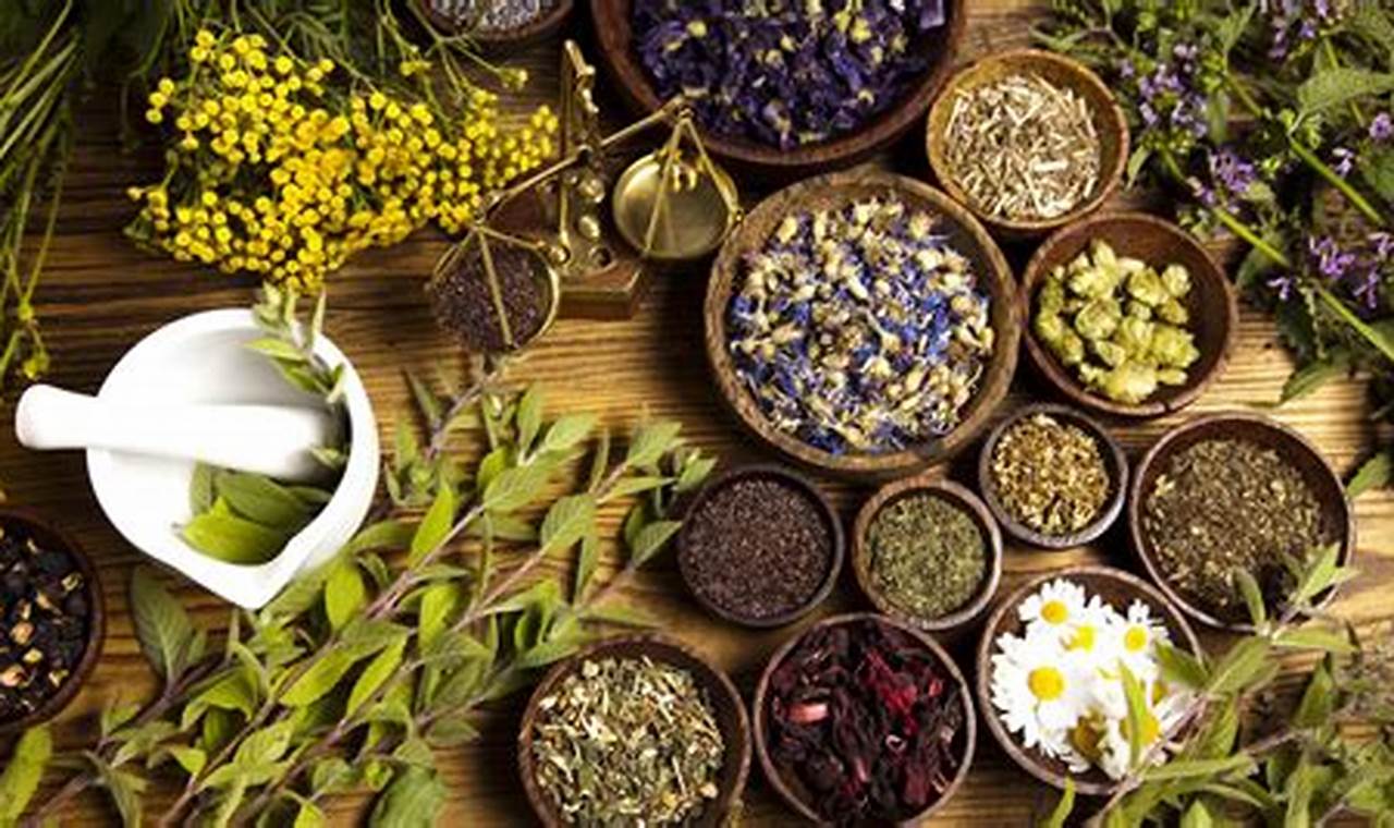 Natural Herbal Treatment Guide: Benefits & Uses | The Ultimate Herbal Remedies Guide: Natural Healing for a Healthier Life